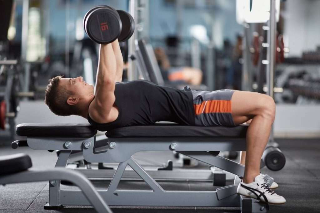 best workout bench for home gym